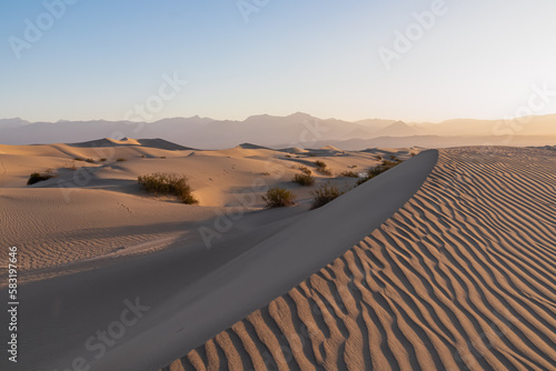 Scenic view on natural ripple sand pattern during sunrise at Mesquite Flat Sand Dunes  Death Valley National Park  California  USA. Morning walk in Mojave desert with Amargosa Mountain Range in back