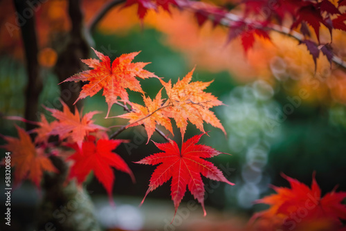 autumn maple leaves  Generative AI