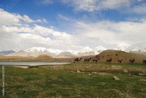 Landscape with camel caravan