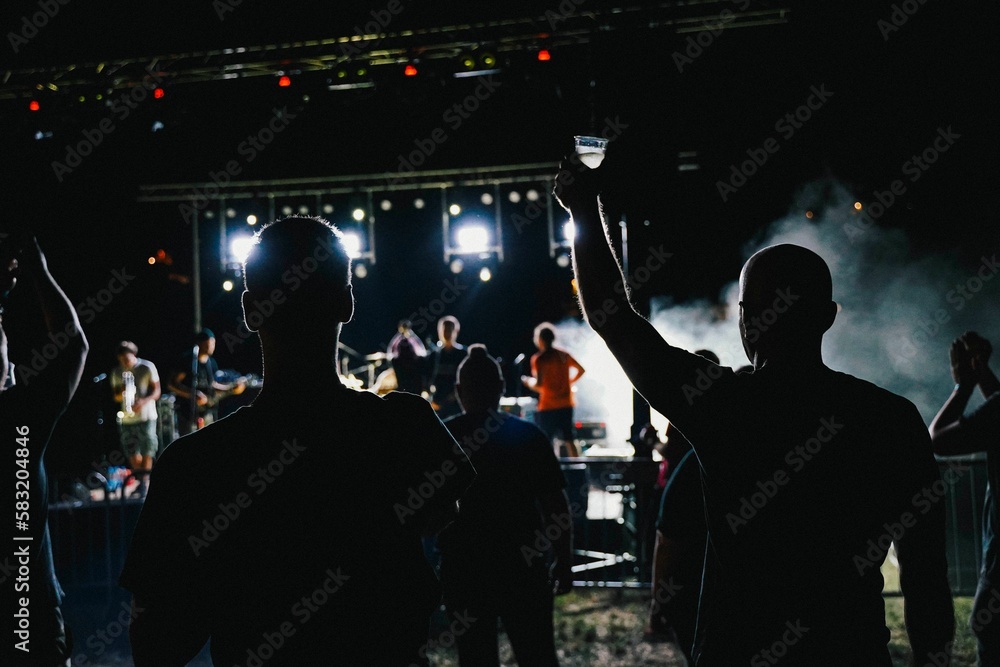 Group of people partying in front of the stage at night