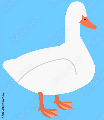 minal vector withe duck photo
