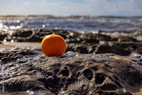 orange on rocky beach, Turkey