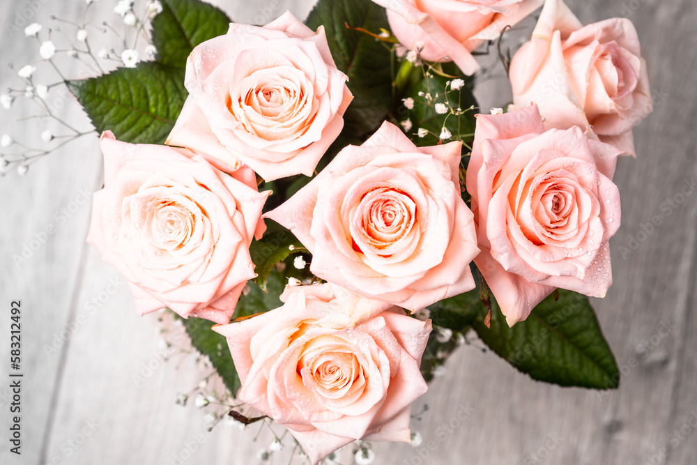 Obraz premium Pink rose flower bouquet. Fresh flower with wet drops.