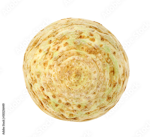 Celery root lower part, isolated on white background with clipping path