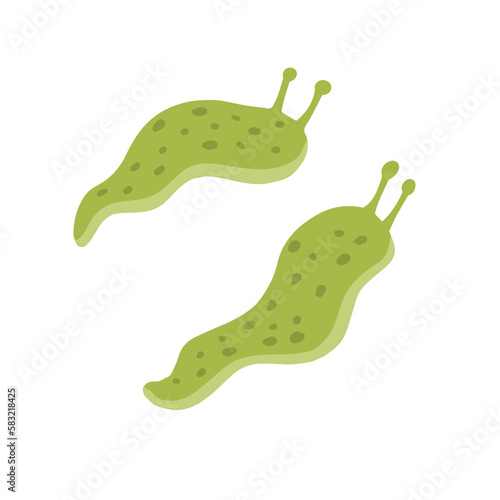 Green slug. Set of slippery insects. Flat cartoon illustration isolated on white background