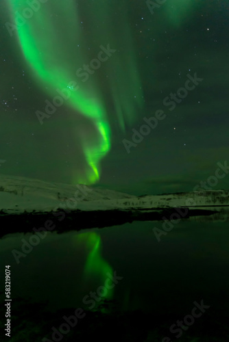 aurora borealis northern lights in tromso