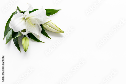 White liles flowers. Mourning or funeral background. Floral mock up