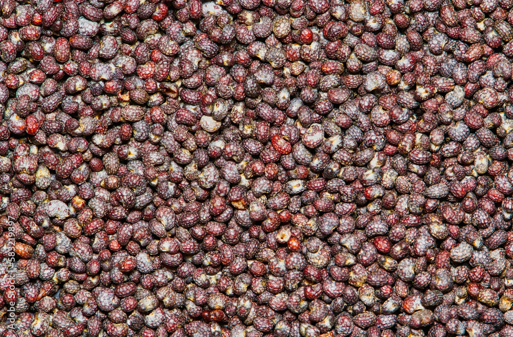 Poppy seeds (Papaver somniferum) with selective focus scattered in a pile with copy space, directly above. oilseeds from the opium poppy plant. Poppy seeds (Papaver somniferum) with selective focus scattered in a pile with copy space, directly above. oilseeds from the opium poppy plant.