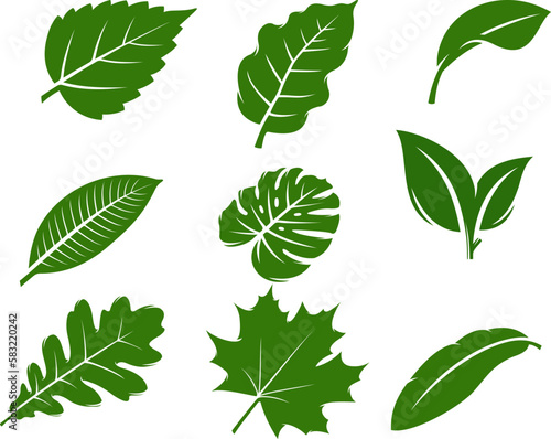 set of green leaf silhouette logo vector