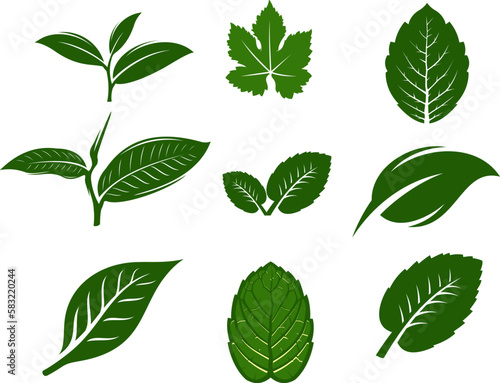 set of green leaf silhouette logo vector © Ghe