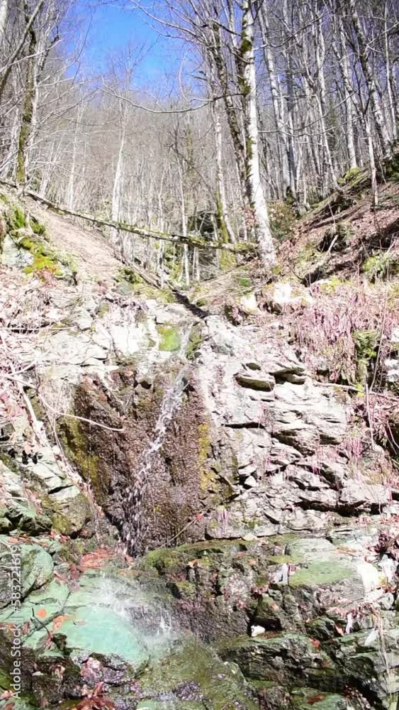 Small waterfall on the rocks in the forest Small waterfall on the rocks in the forest