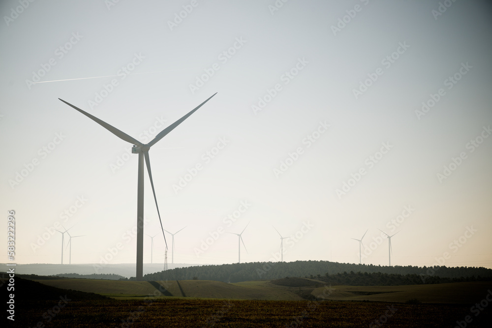 Obraz premium Wind turbine generators for renewable electricity production