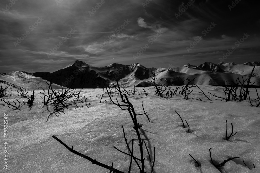 Tatry