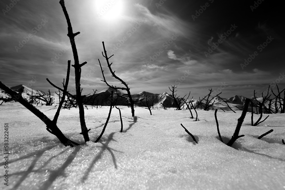 Tatry