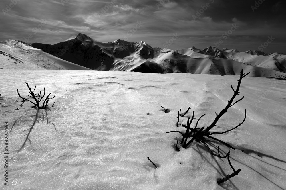 Tatry