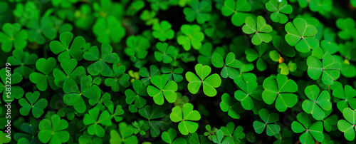 Green clover leaves background. St.Patrick's Day background. Generative AI