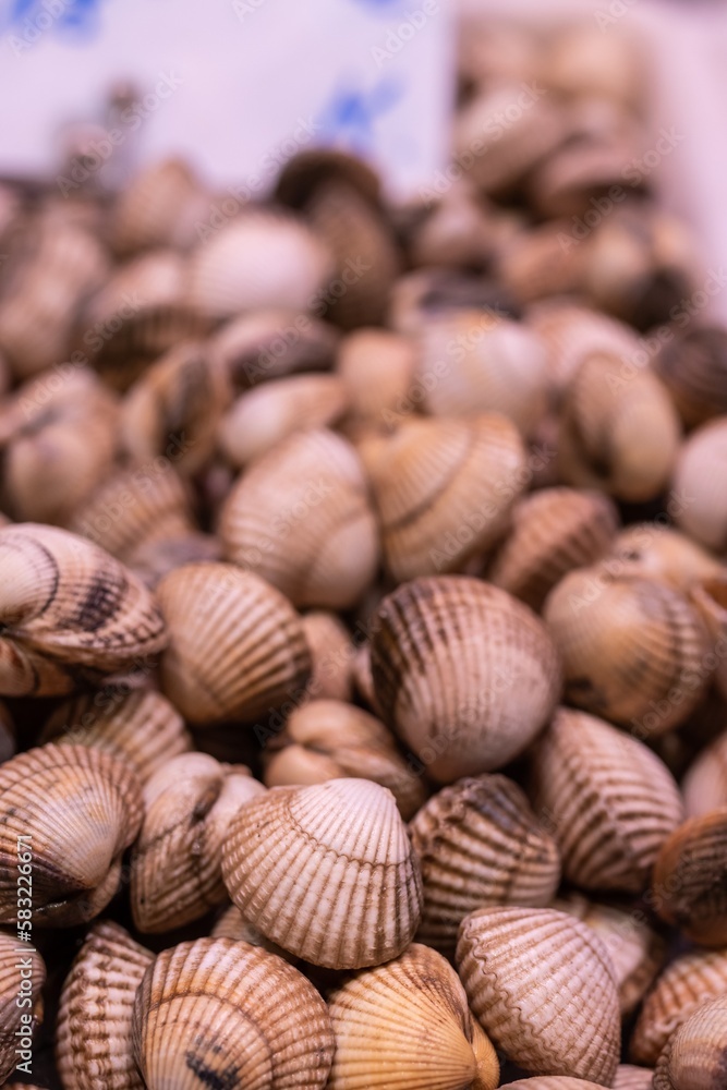 View of fresh cockles ready to eat at a market, selective focus bottom center.