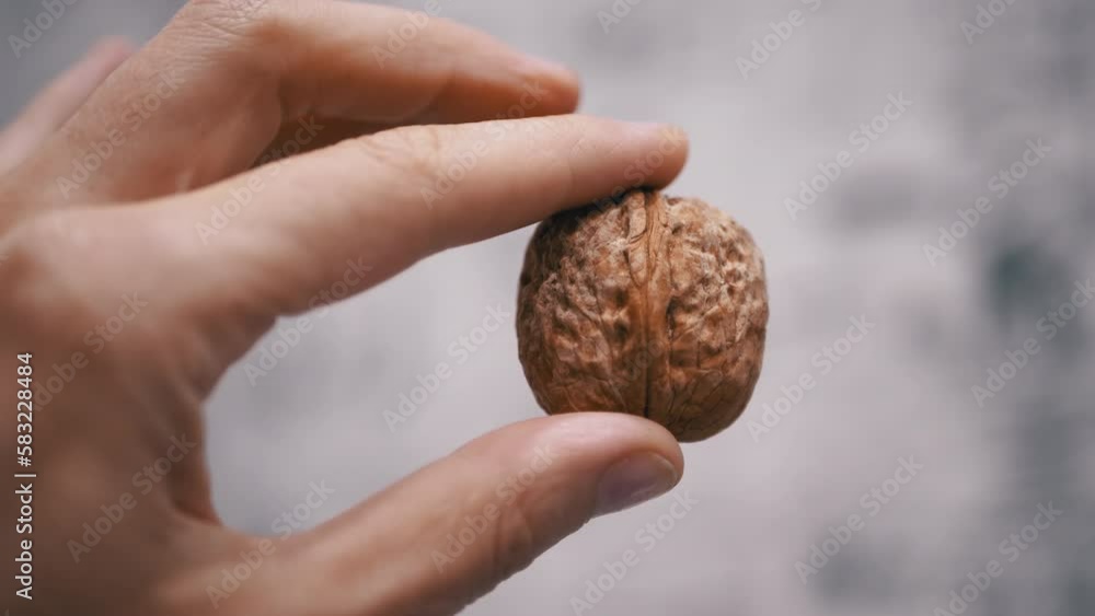 Farmer Hand Holding and Showing One Big Walnut on Blurred Background. Close-up. Autumn harvest. Useful, diet healthy food. Brain food. Vegetarianism. Ripe brown walnut shell. Texture. Slow-motion. Farmer Hand Holding and Showing One Big Walnut on Blurred Background. Close-up. Autumn harvest. Useful, diet healthy food. Brain food. Vegetarianism. Ripe brown walnut shell. Texture. Slow-motion.