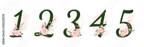 Collection numbers from 0 to 5 decorated with roses, leaves, branches. For the first year of a baby's life, wedding invitations and birthday cards. Baby milestone photo