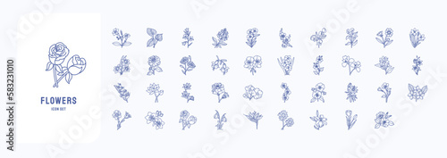 Flowers icon set, including icons like Fuchsia, Daisy, Sunflower and more
