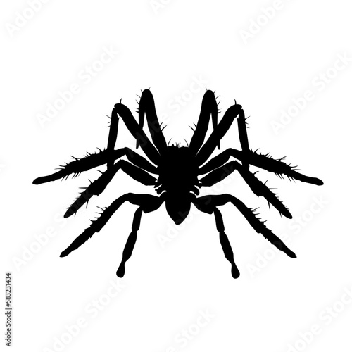 spider silhouette isolated - vector illustration