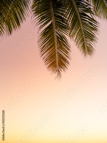 Beautiful tropical sunset. Silhouettes of palm trees background 