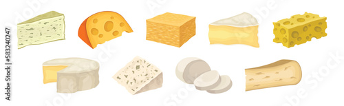 Different Cheese as Dairy Product Made from Milk Vector Set