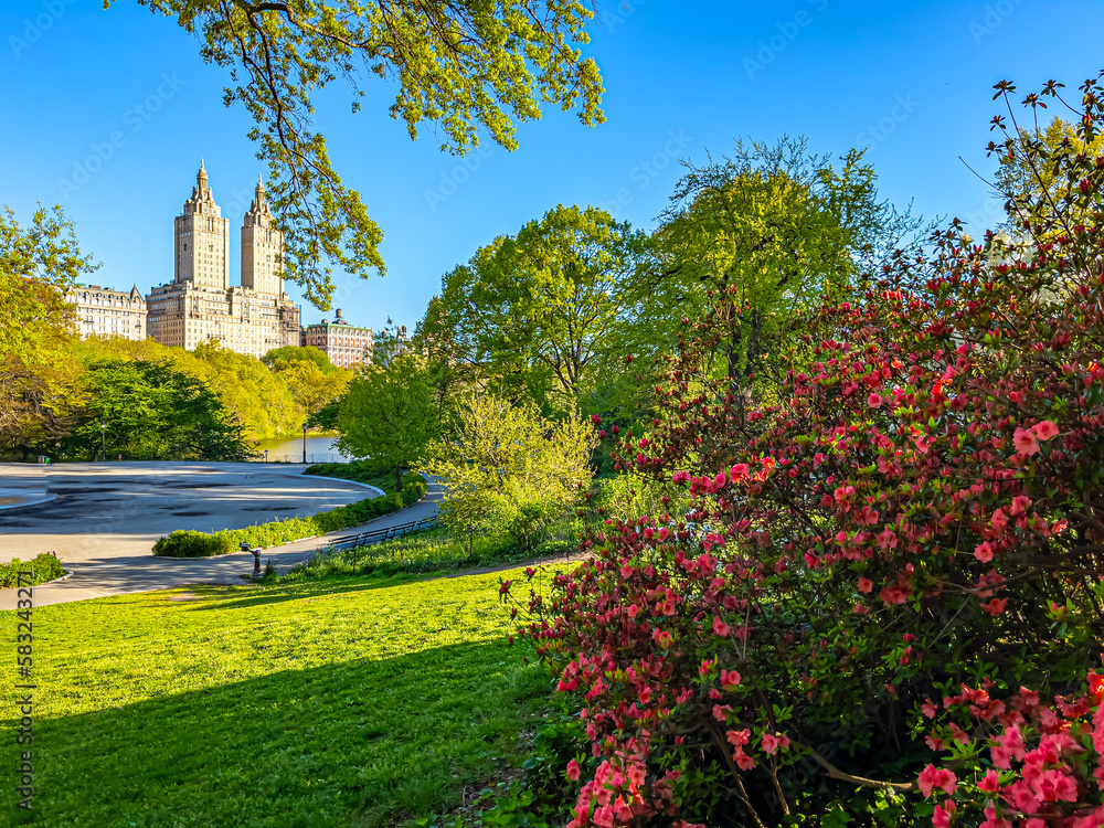 Obraz premium Central Park in spring