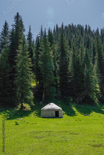 yurt in the forest
