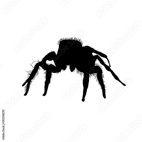 spider silhouette isolated - vector illustration