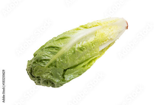 Romaine lettuce isolated on a white surface