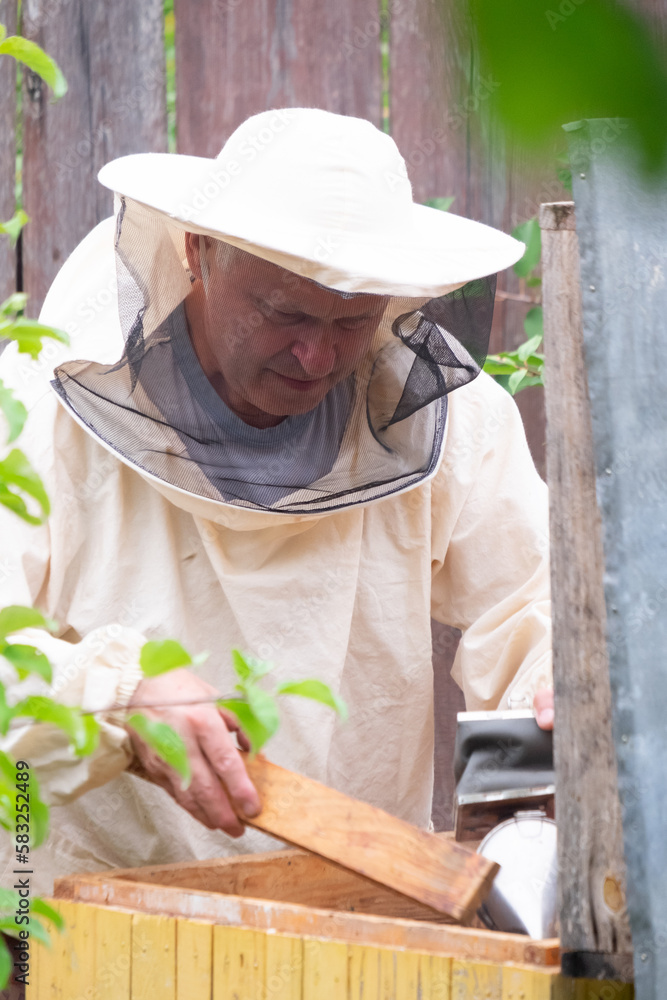 Care of the hive, bees. Collection of honey. The life of bees. Care of the hive, bees. Collection of honey. The life of bees.