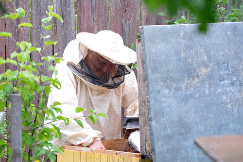 Care of the hive, bees. Collection of honey. The life of bees.