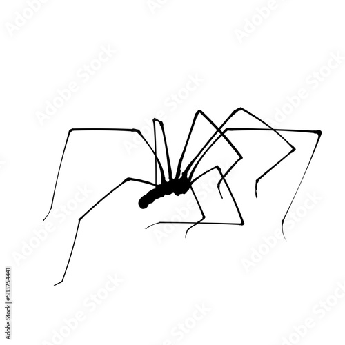  spider silhouette isolated - vector illustration