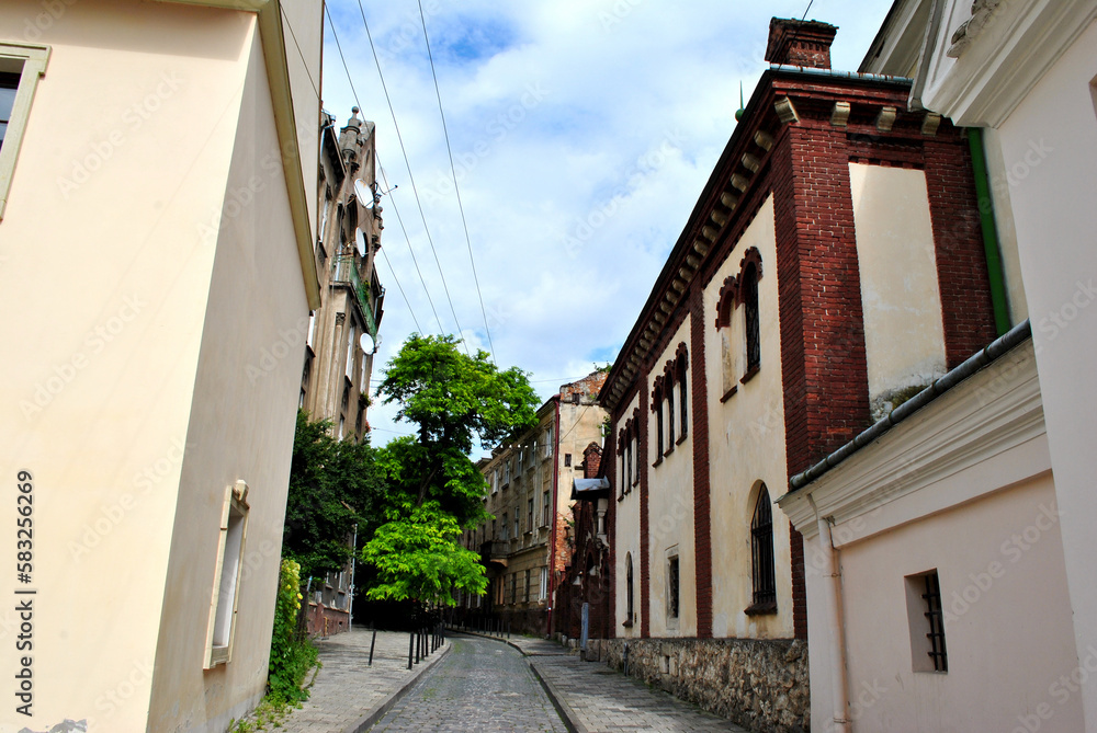 Fototapeta premium street in the town