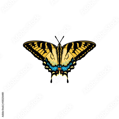 Elegant butterfly with bright wings and antennae.