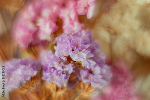 Obraz na płótnie Flores con helios 44-2 y elemento frontal invertido