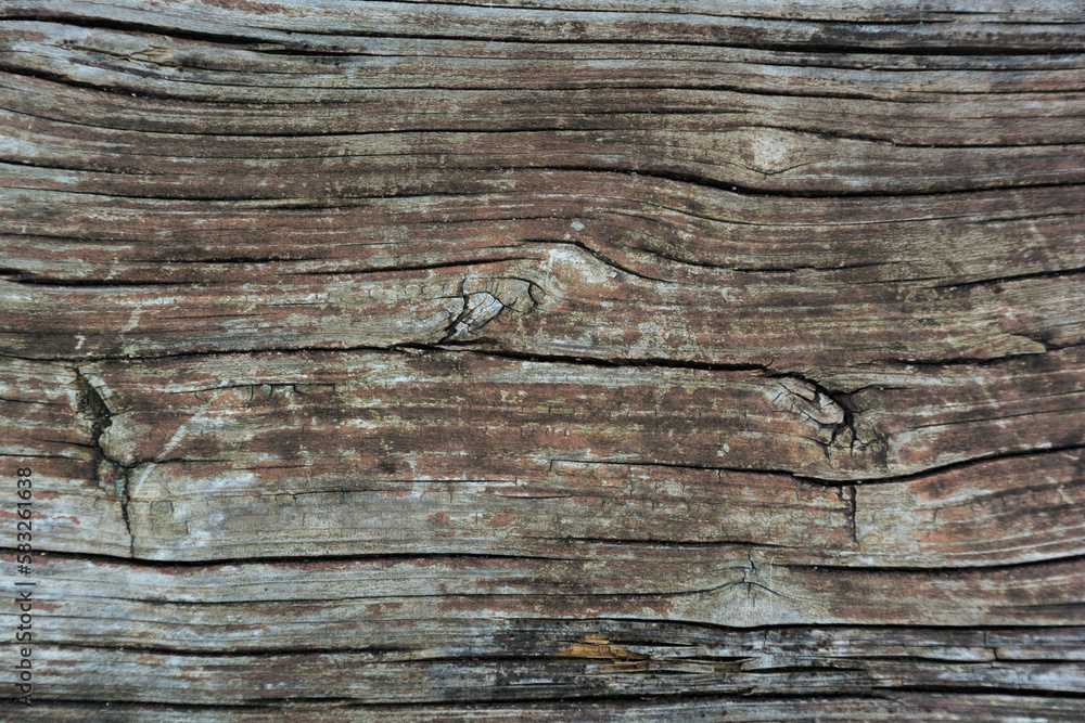 Fototapeta premium asse di legno