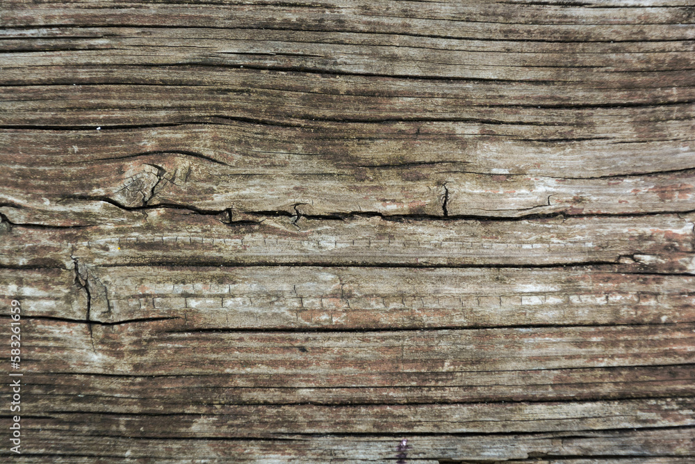 Obraz premium asse di legno