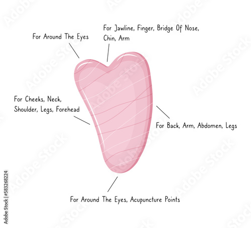 Infographic of Gua Sha scraping shape footmassage tool usage. Facial massage. Natural pink rose quartz stone scraper. Chinese traditional facial lifting for women. Facial acupoints.