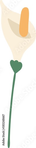 Flower inflorescence Decor for bouquet