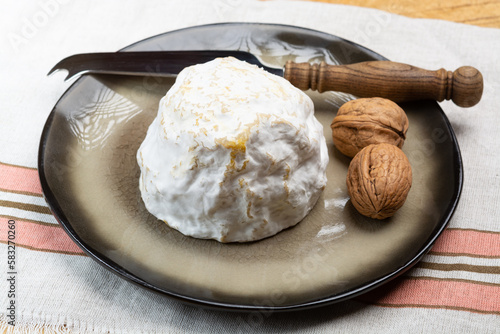 Cheese collection, soft cow French cheese with mold Gaperon artisanal lavored with cracked peppercorns and garlic produced in Auvergne photo