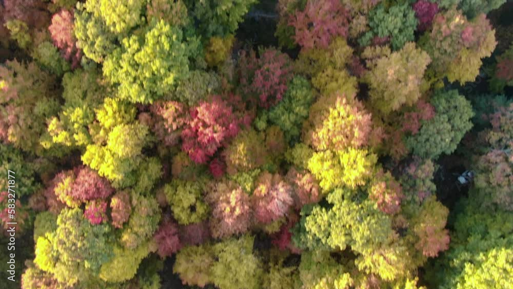 Small American Town Streets and Buildings from Drone During the Summer and Fall Small American Town Streets and Buildings from Drone During the Summer and Fall