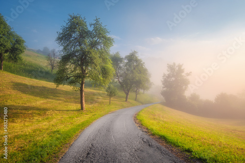 Rural empty road in mountains in summer foggy morning