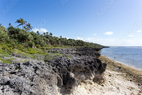 View of the coast photo