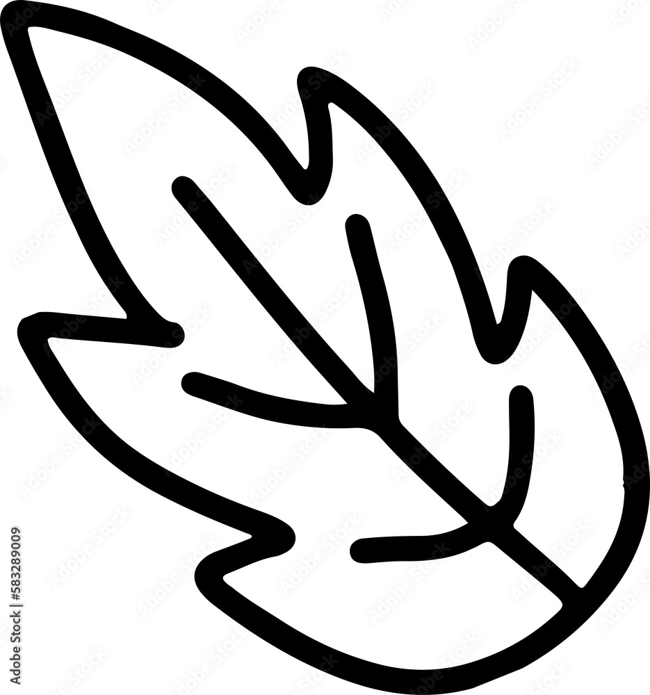 Set of hand drawn floral elements, plants and flowers Set of hand drawn floral elements, plants and flowers