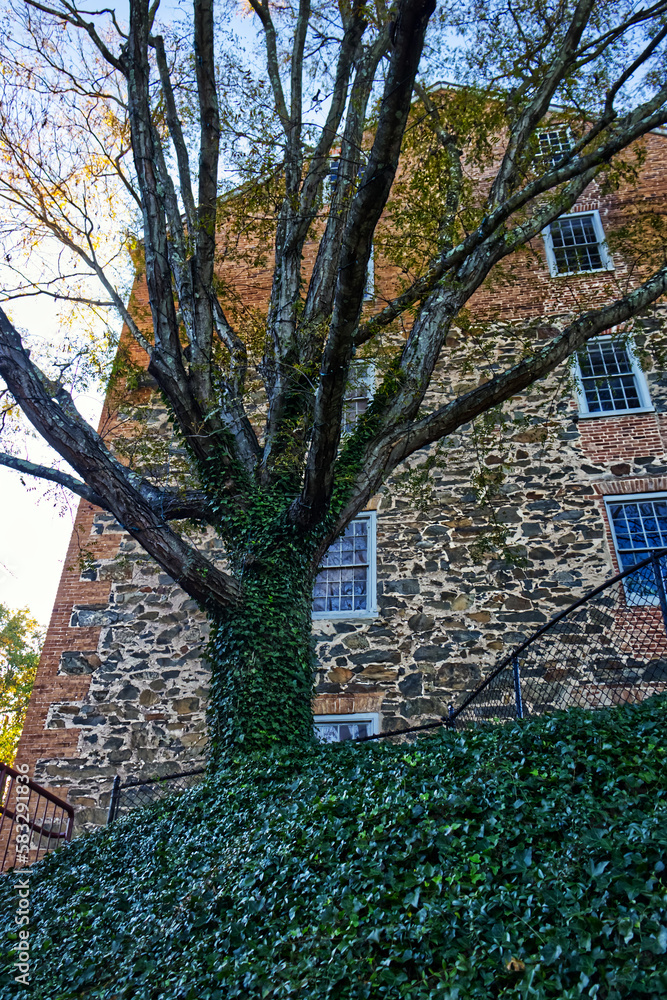 Nature and the old building, both survived for centuries, Laurel, MD, USA