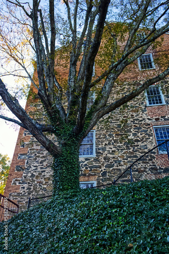 Obraz na płótnie Nature and the old building, both survived for centuries, Laurel, MD, USA w salonie
