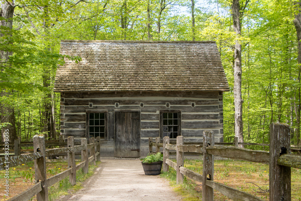 old wooden house in the woods