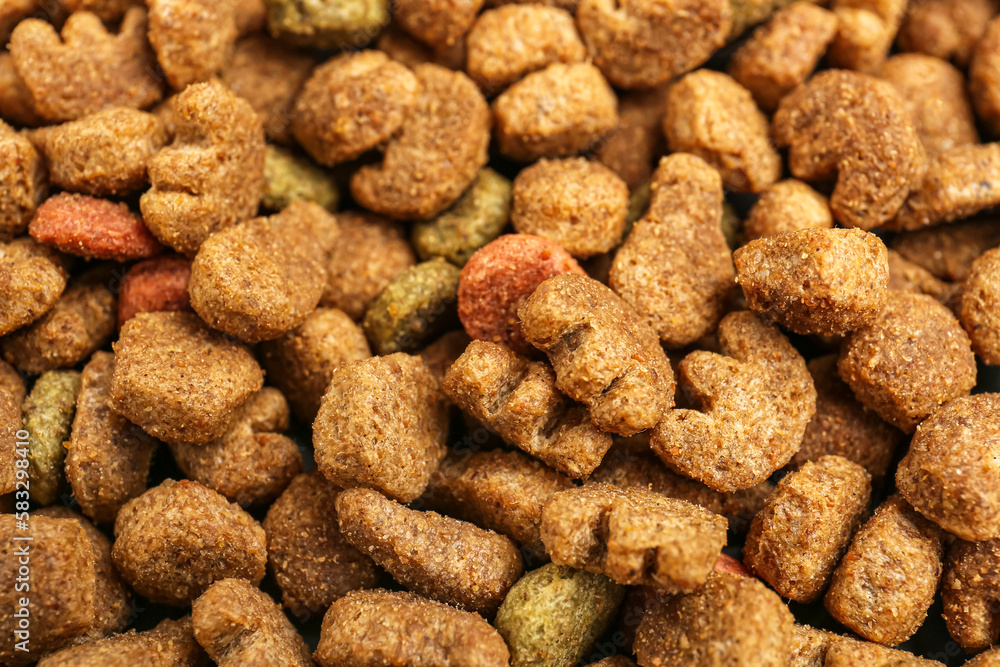 Dry pet food as background, closeup Dry pet food as background, closeup